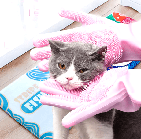 Rękawice Do Mycia Zwierząt