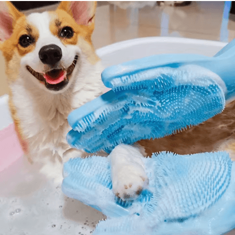 Rękawice Do Mycia Zwierząt